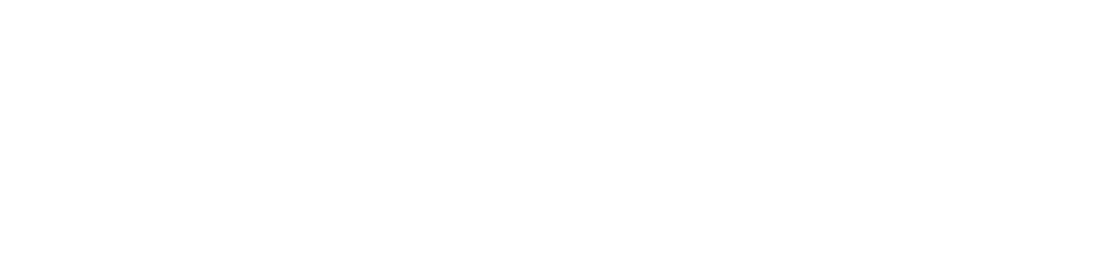 Information Services Logo White