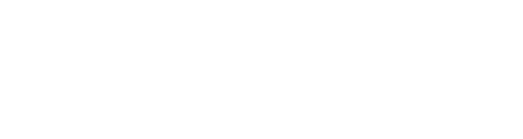 Library & IT Services Logo White