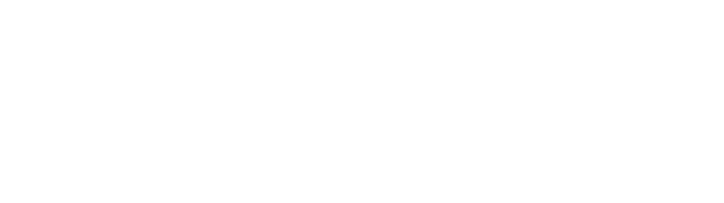 Lunder School of Education Logo White