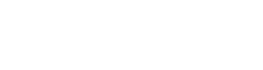 Safety & Security Logo White