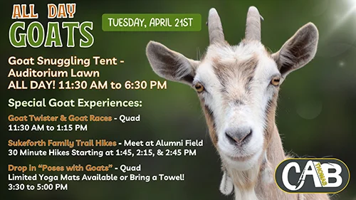 All Day Goats