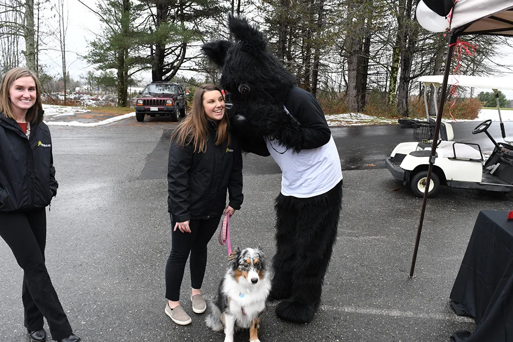 Amanda Wrigley with her pup and Tommy the Terrier