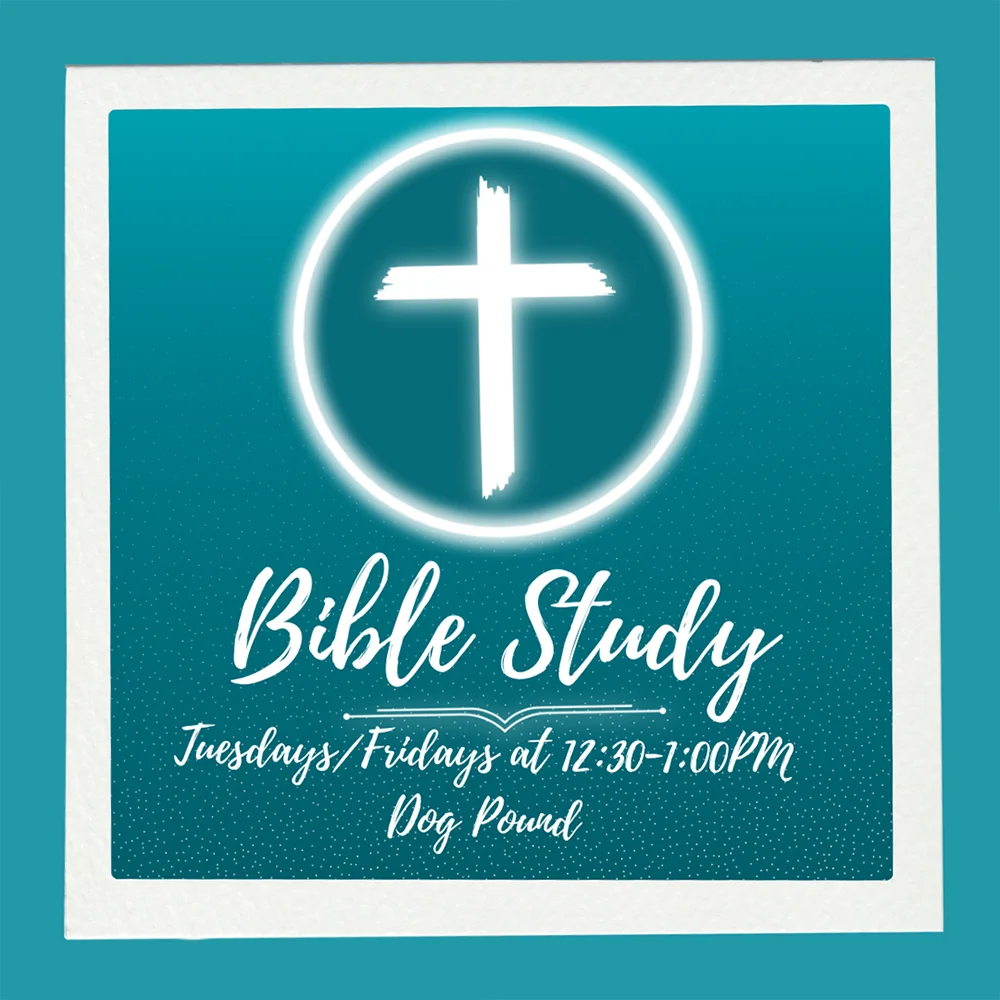 New Bible Study