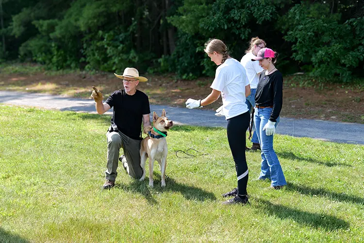 K9 Searching & Detecting Summer Camp: Photo 10