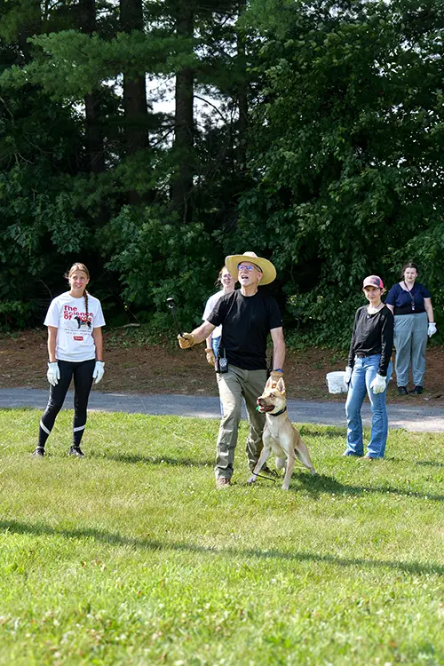 K9 Searching & Detecting Summer Camp: Photo 11