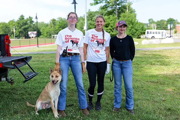 K9 Searching & Detecting Summer Camp: Photo 12
