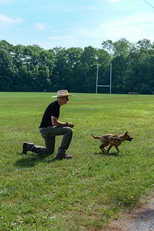 K9 Searching & Detecting Summer Camp: Photo 13