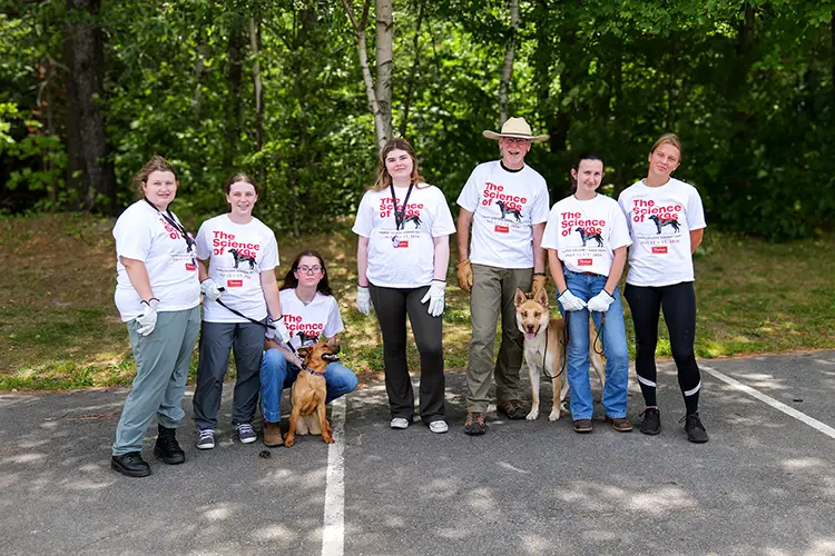 K9 Searching & Detecting Summer Camp: Photo 8