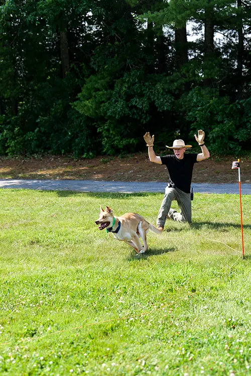 K9 Searching & Detecting Summer Camp: Photo 9